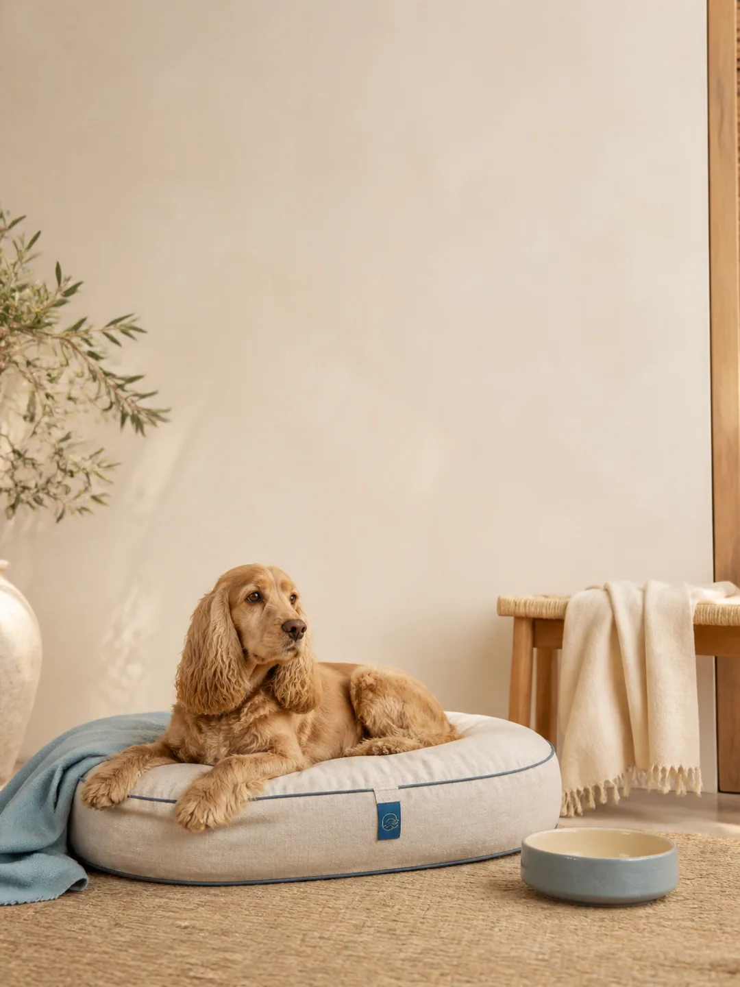 Ambiente domestico elegante con un cane tranquillo e accessori pet raffinati